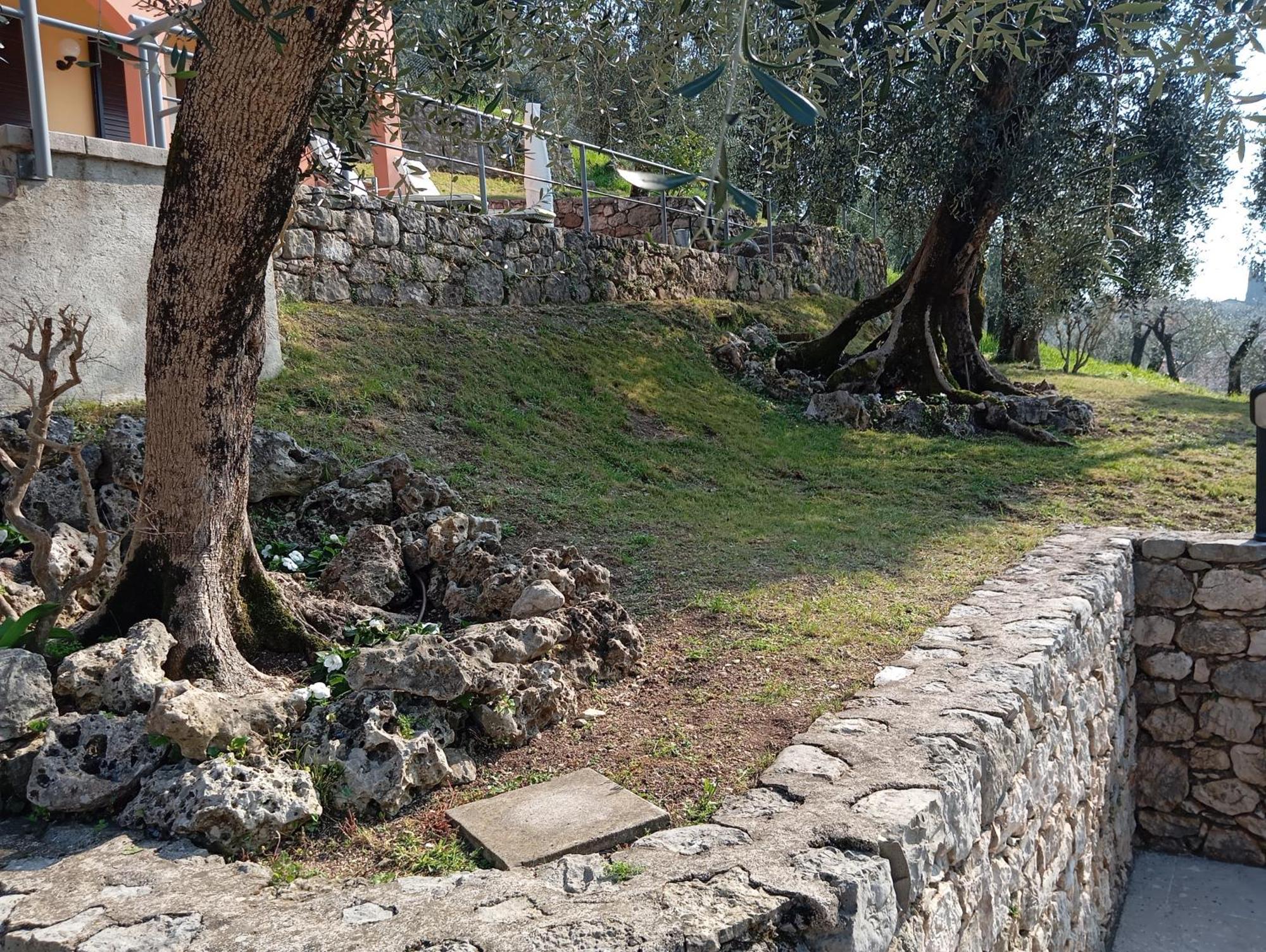 Antopolis Malcesine